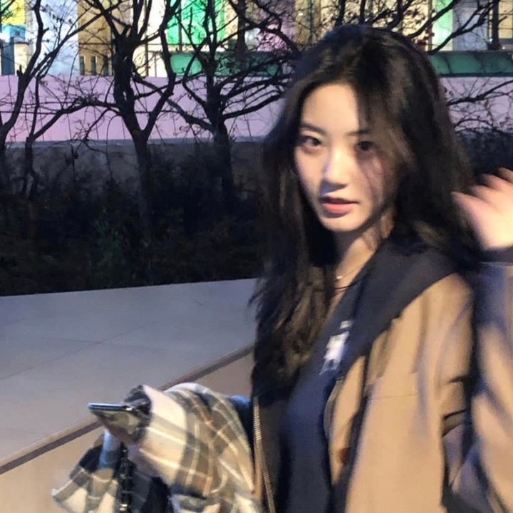 维罗提卡
