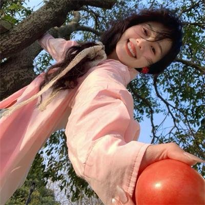 来自日本的机器狗