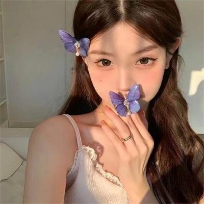 完美房子